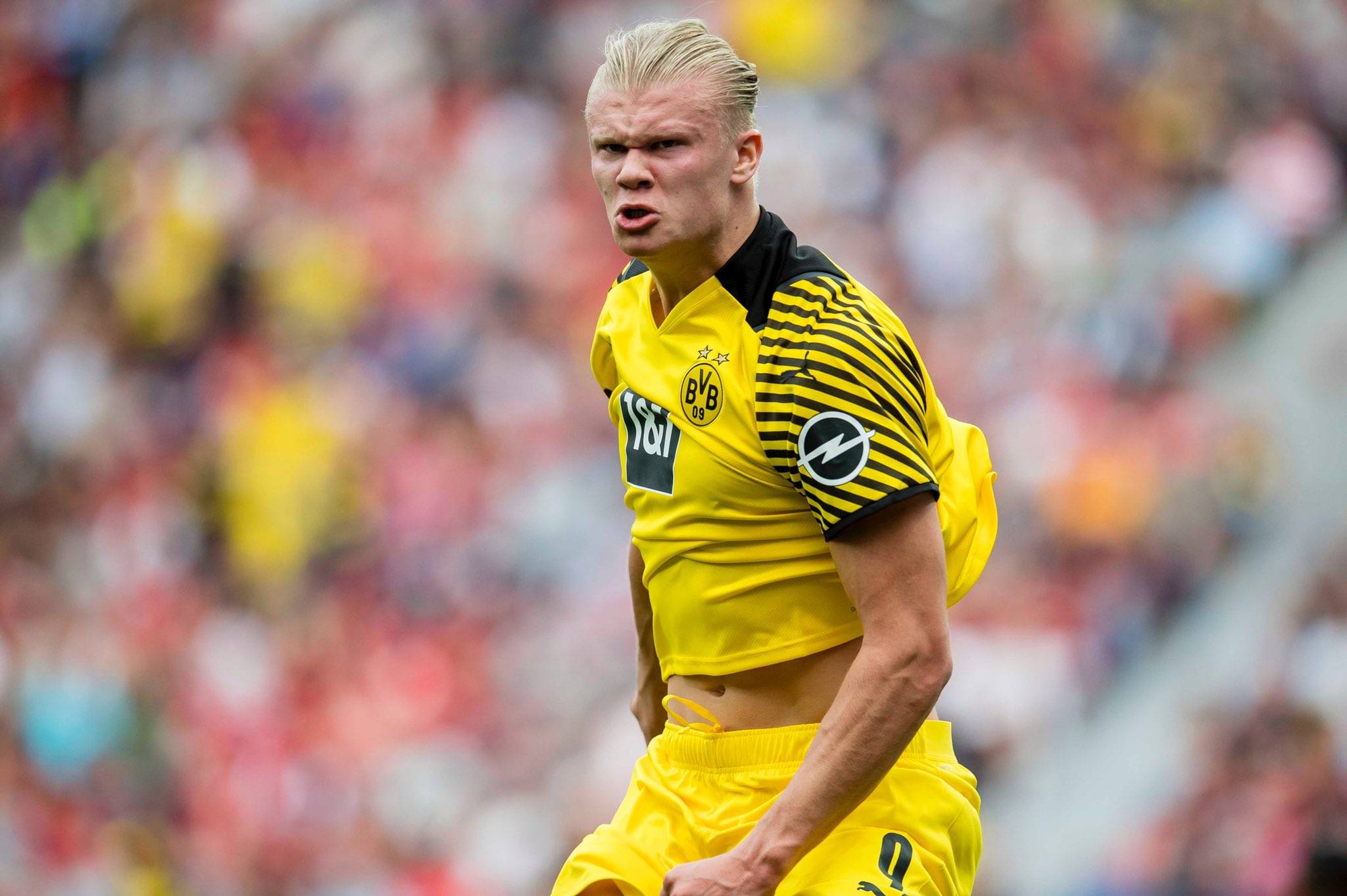 2024英雄联盟冬季职业青训营线上选拔赛报名开启